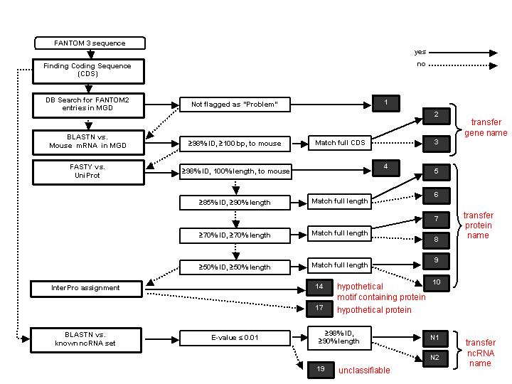 Annotation pipelines for transcript description